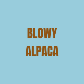 Blowy Alpaca 100g/140m NSW