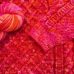 Falkland DK 'Take a Walk on the wild Side'