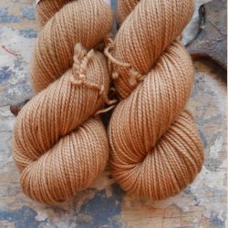 Falkland DK 'Camel'