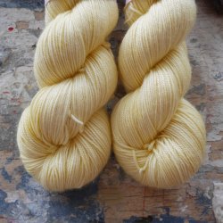 Silky Twist 'Butter Delight'