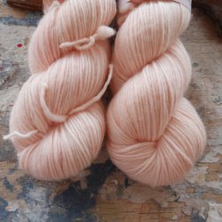 DK Singles 'Princess' 100g/220m