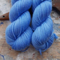 Falkland DK 'Cornflower'
