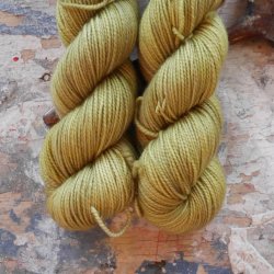 Falkland DK 'Matcha'