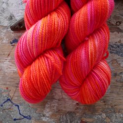 Falkland DK 'Take a Walk on the wild Side'