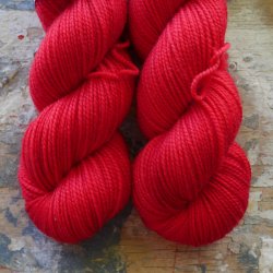 Falkland DK 'Tomatosplash'